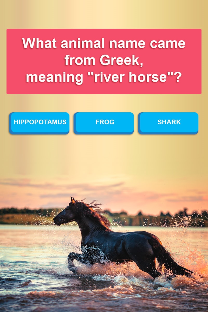 What Animal Name Came From Ancient Trivia Answers Quizzclub