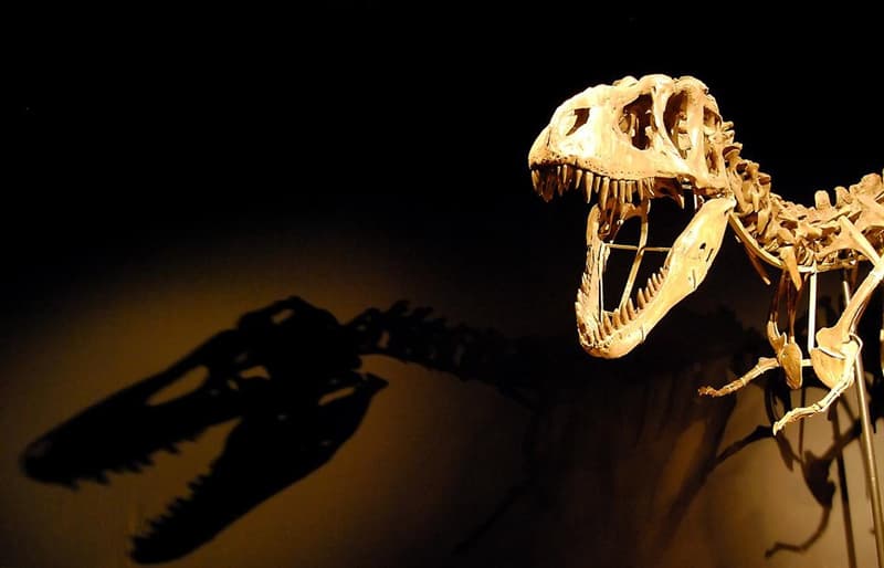 Science Trivia Question: Dinosaurs and humans did exist at the same time.