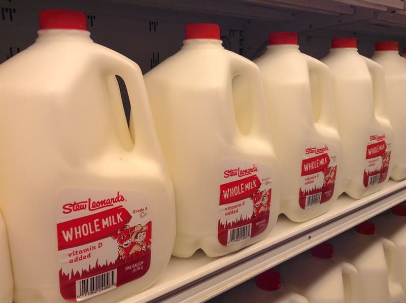 Science Trivia Question: How much does a full gallon of whole milk weigh?