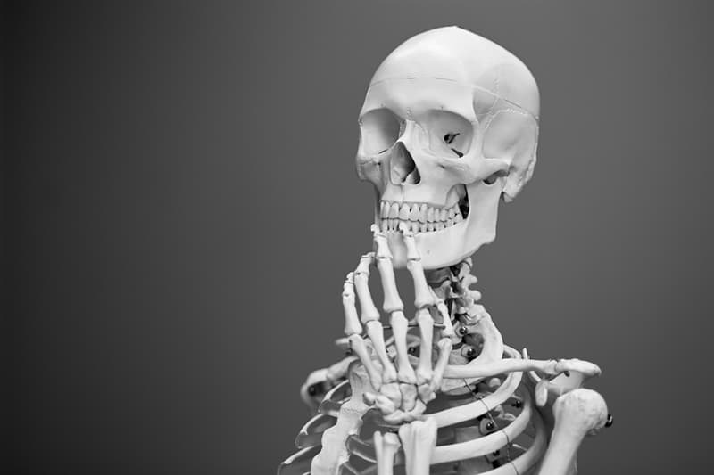 Наука Вопрос: Откуда произошло слово "скелет"?