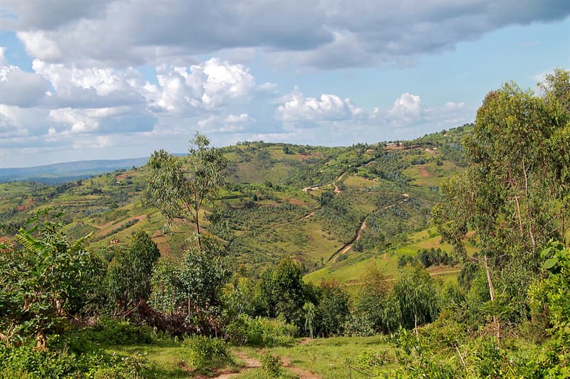 Geography Trivia Question: What is the capital city of Burundi?