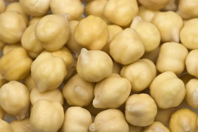 Nature Trivia Question: What is the difference between garbanzo beans and chickpeas?
