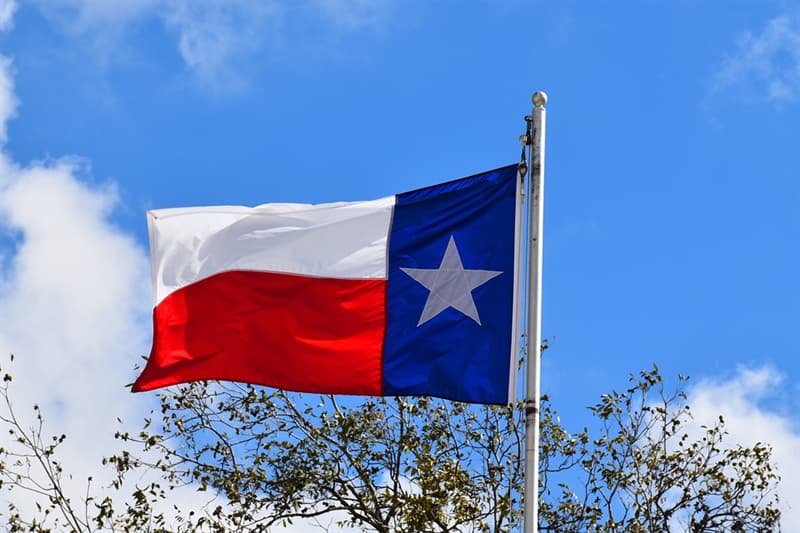 География Вопрос: Какие цветы являются символом штата Техас?
