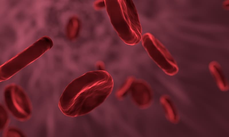 Science Trivia Question: What morphologically abnormal red blood cell is associated with "hyperchromia"?