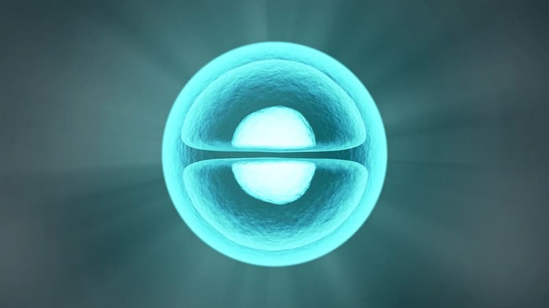 Science Question: Quel organite est considéré comme la source d'énergie d'une cellule ?