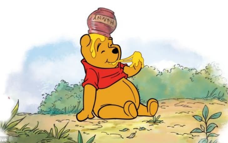 Culture Trivia Question: Winnie-the-Pooh and his friends inhabit a part of land known as ...