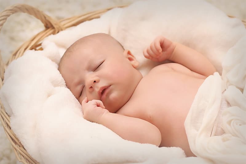 Society Trivia Question: How many bones are found in the body of a new born infant?