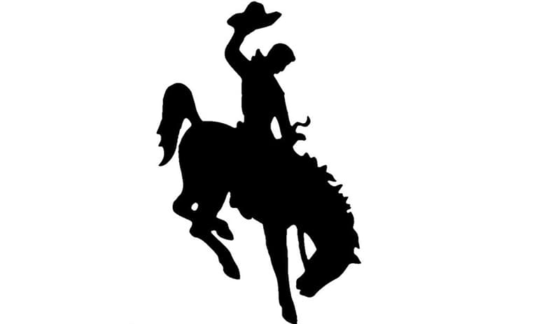 Culture Trivia Question: The State of Wyoming has the image of a bucking horse and rider on the license plates.  The same image is also used for the University of Wyoming.  What is the horse's name?