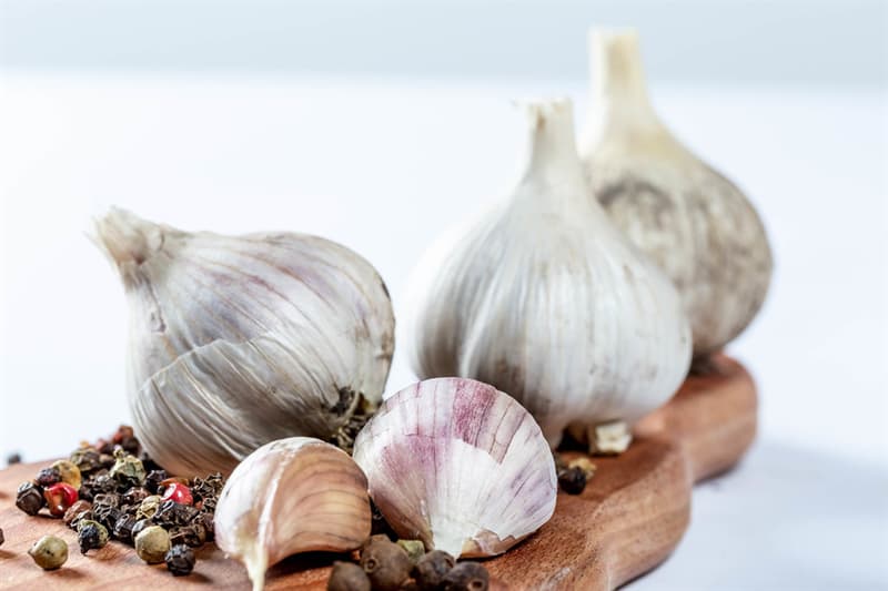 Science Trivia Question: What is the fear of garlic called?
