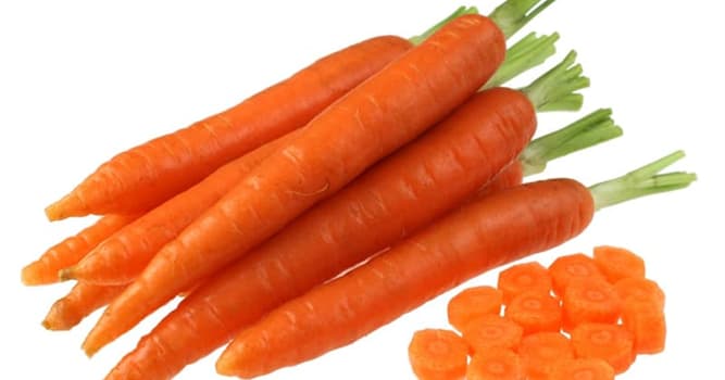 History Trivia Question: What is the reason carrots are orange?