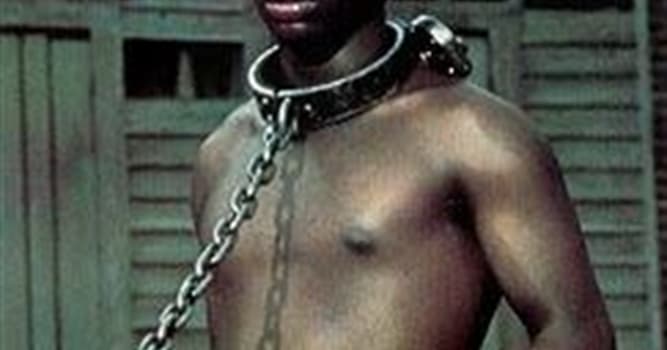 Culture Trivia Question: Alex Haley's novel Roots has the lead character of Kunta Kinte, is he possibly an ancestor of Haley's?