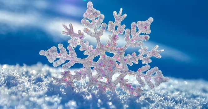 Science Trivia Question: How many points does a snowflake have?
