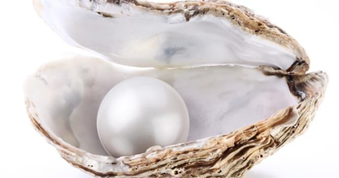 Nature Trivia Question: Oysters can change genders back and forth.
