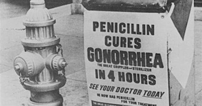 Наука Вопрос: Кто открыл пенициллин?