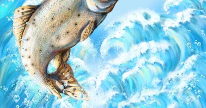 Наука Вопрос: Способны ли чихать некоторые виды рыб?