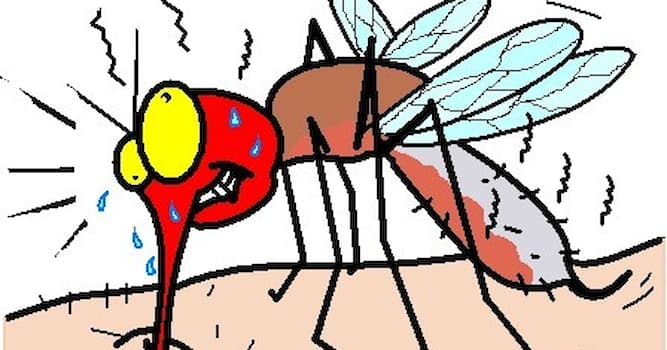 Nature Trivia Question: Do mosquitoes have teeth?