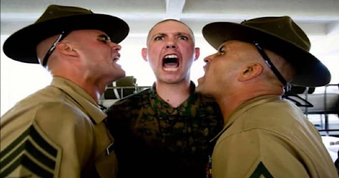 Society Trivia Question: Why are Marine Corps Drill Instructors always yelling and acting crazy towards recruits?