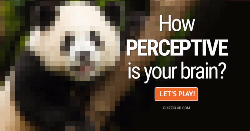 IQ Quiz Test: How Perceptive Is Your Brain?