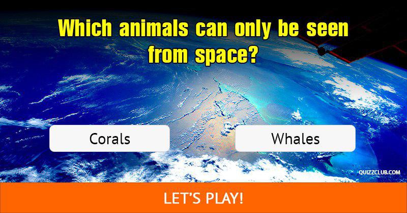 Nature Quiz Test: Only 2 in 10 People Can Pass This Animal Facts Quiz