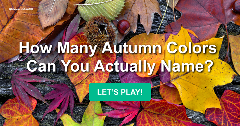 color Quiz Test: How Many Autumn Colors Can You Actually Name?