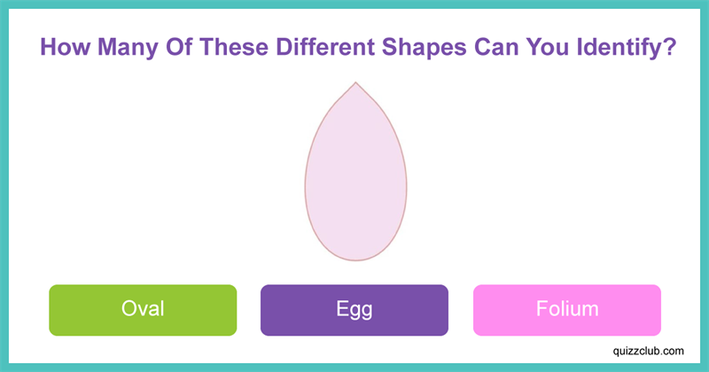 IQ Quiz Test: How Many Of These Different Shapes Can You Identify?