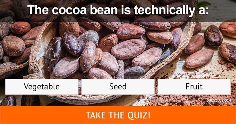 knowledge Quiz Test: Are You A Chocolate Genius?