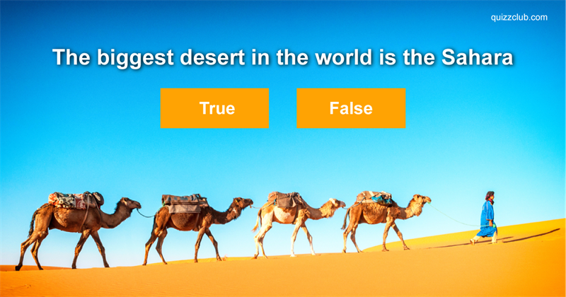 IQ Quiz Test: True or False: Test Your Fast Facts Knowledge!