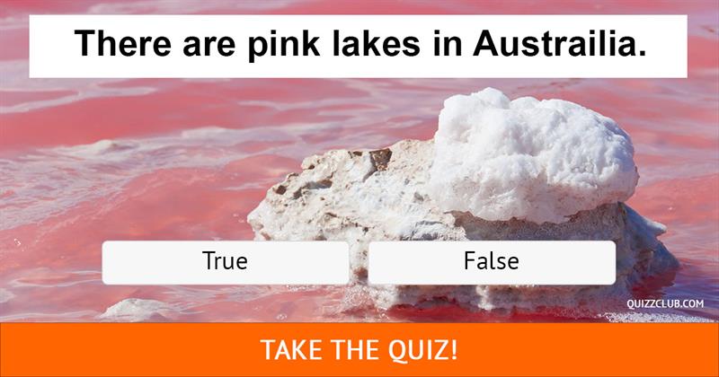 knowledge Quiz Test: 14 Questions to Test Your Knowledge