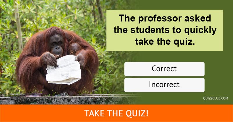 language Quiz Test: Are you really THAT GOOD in English? Try these 10 problems!