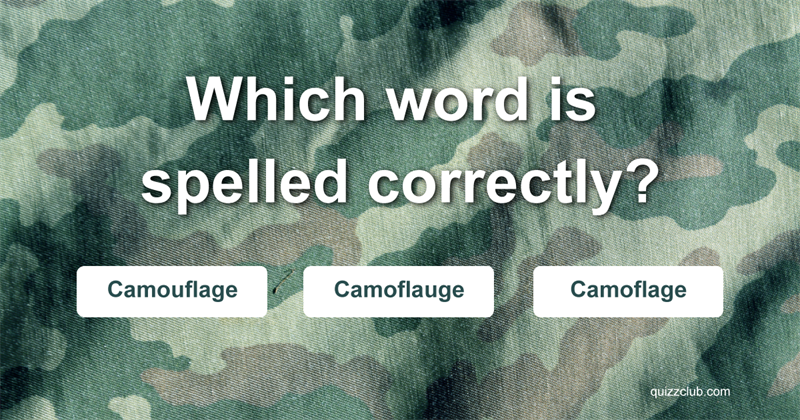language Quiz Test: Can you spell some of the most common misspelled words?