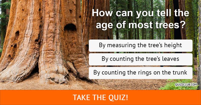 Nature Quiz Test: How Good Are You In Plant Knowledge?