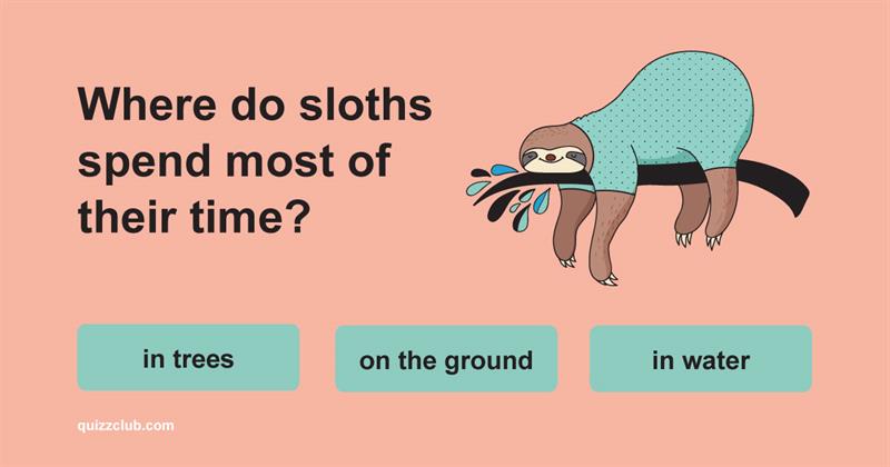 animals Quiz Test: How Much Do You Know About Animals?