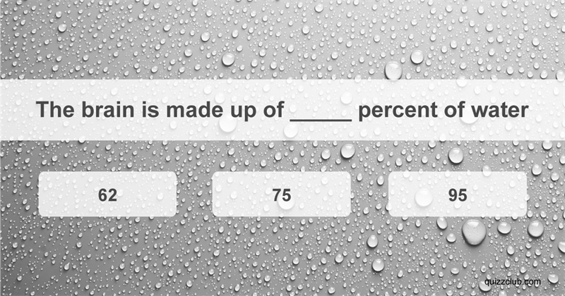 Science Quiz Test: How much do you know about the human brain?