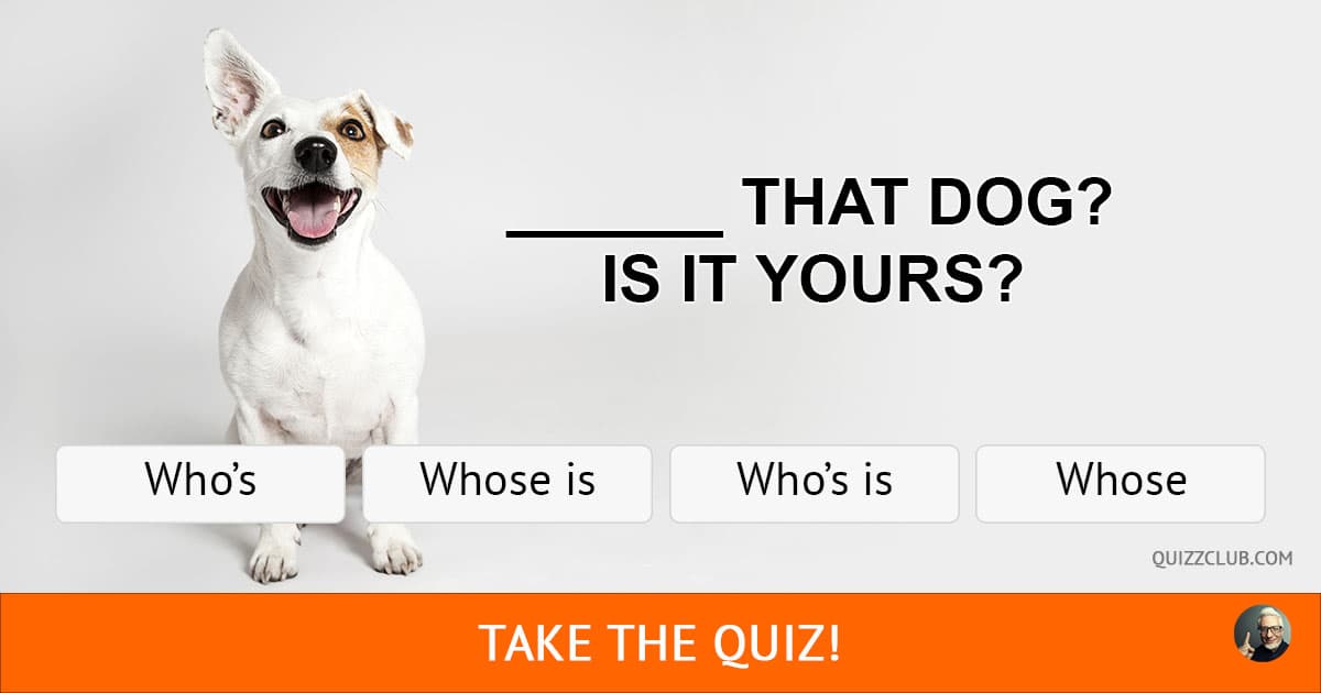 Какая ты тест quiz. Funny Quiz. That Dog знания. Тест на знание собак. Ответ на вопрос which Dog is yours.