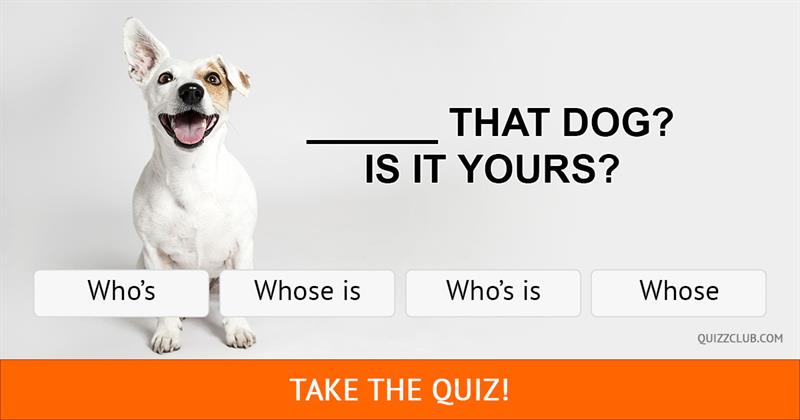 language Quiz Test: No One Can Pass This Basic 6th Grade Grammar Quiz!