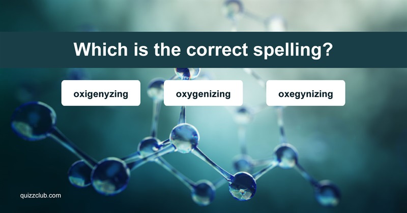 language Quiz Test: 79% Of People Won't Be Able To Spell 11/13 Of These 11-Letter Words!