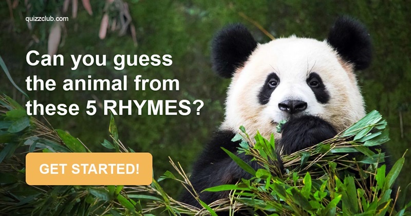 animals Quiz Test: Can You Guess The Animal From These Five Rhymes?