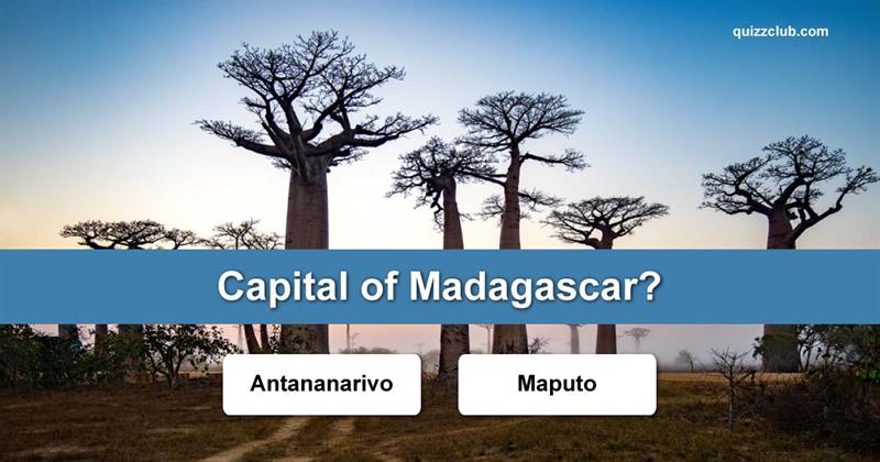 Geography Quiz Test: How Well do You Know the Capitals of the World?