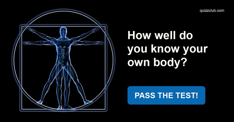 health Quiz Test: How Well Do You Know Your Own Body?