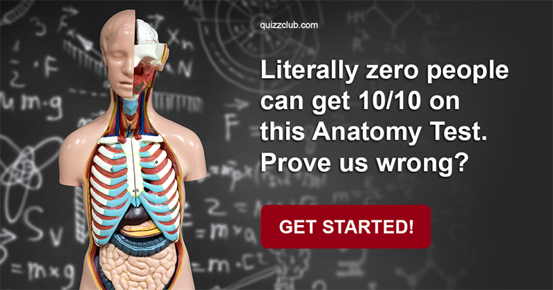 Science Quiz Test: Literally Zero People Can Get 10/10 On This Anatomy Test. Prove Us Wrong?