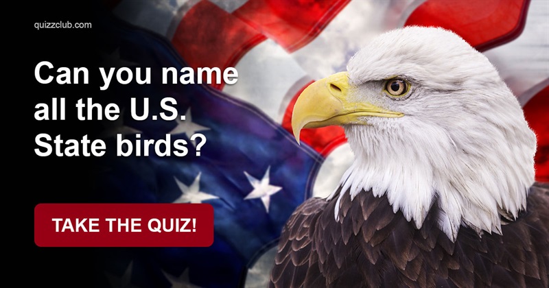 Geography Quiz Test: Can You Name All The U.S. State Birds?