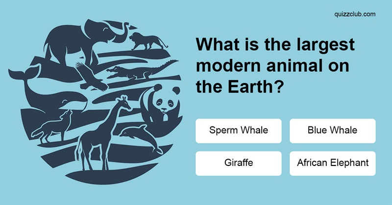 IQ Quiz Test: Can You Solve 9 Incredibly Tricky Science Questions?