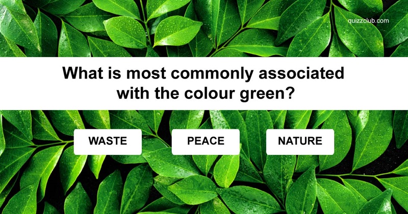 Geography Quiz Test: Do you know what colors mean around the world?