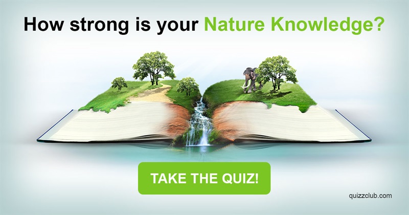 Nature Quiz Test: How Strong Is Your Nature Knowledge?