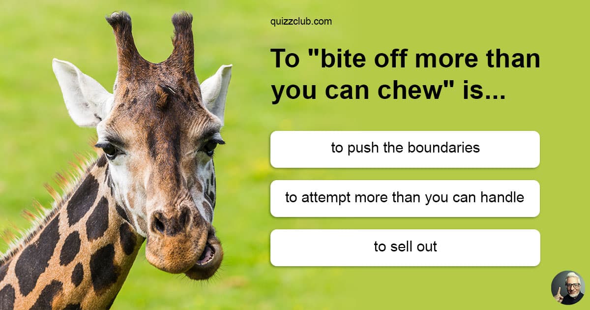 Much more than перевод. Идиома bite off more than you can Chew.. Bite off more than you can Chew idiom. Bite off more than one can Chew. Bitten off more than i can Chew.