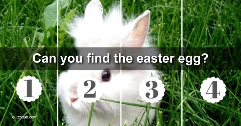 vision Quiz Test: Can You Find The Easter Egg We've Hidden In Each Of These Photos Of Adorable Bunnies?
