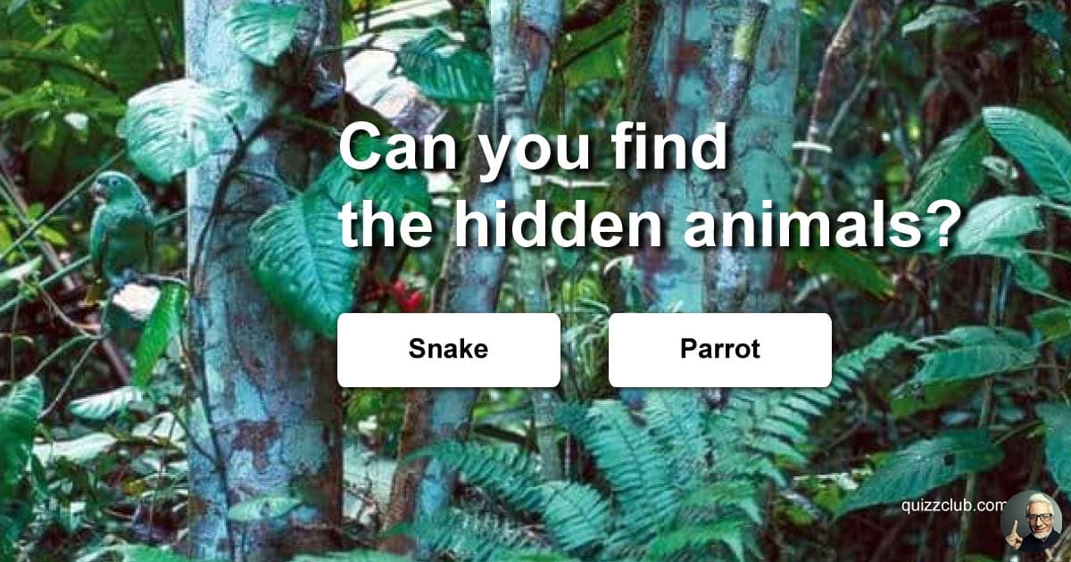 Can you find the hidden animals? | Trivia Quiz | QuizzClub