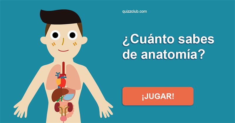 Naturaleza Quiz Test: ¿Cuánto sabes de anatomía?