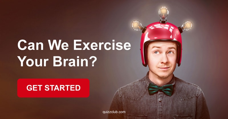 IQ Quiz Test: Can We Exercise Your Brain?