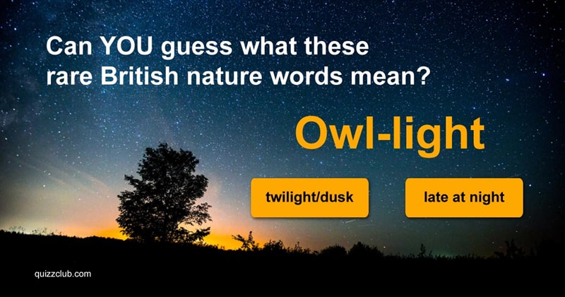 Nature Quiz Test: Can YOU guess what these rare British nature words mean?